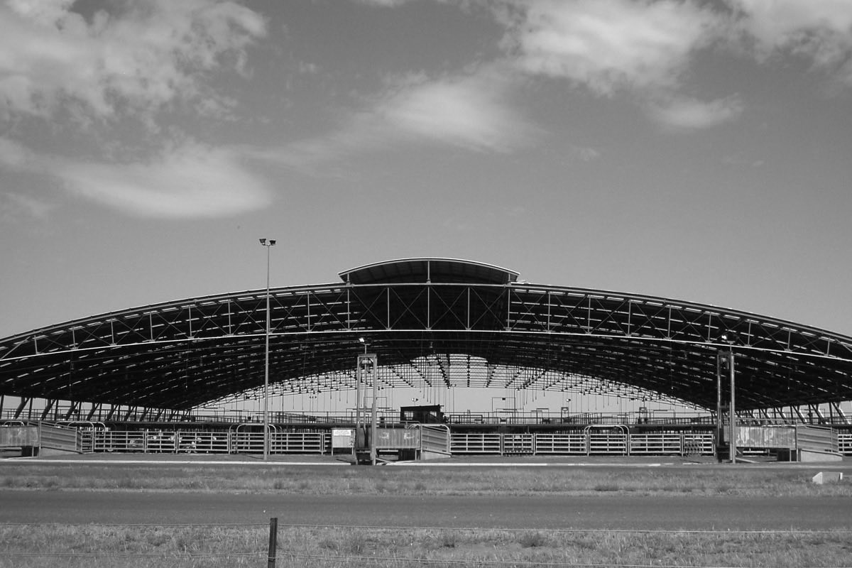 Central West Livestock Exchange near Forbes, NSW